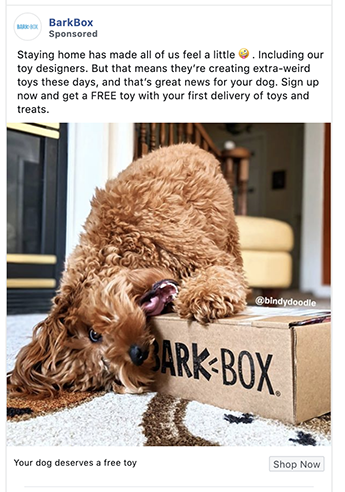 BarkBox ad is fun and captures attention