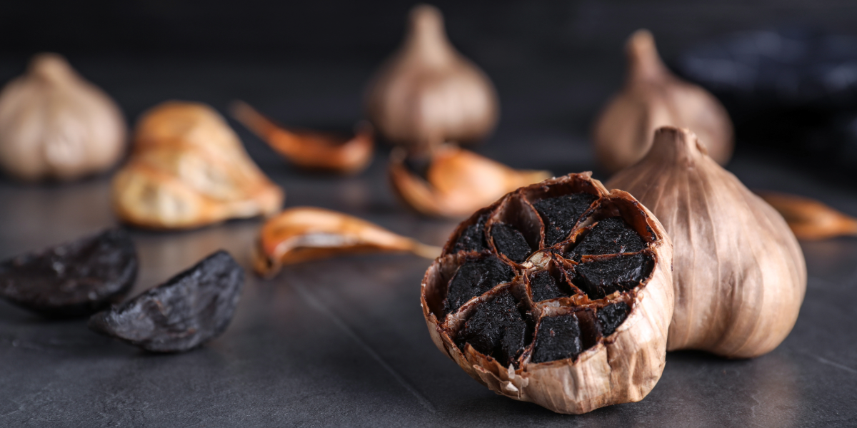 Black Garlic North America