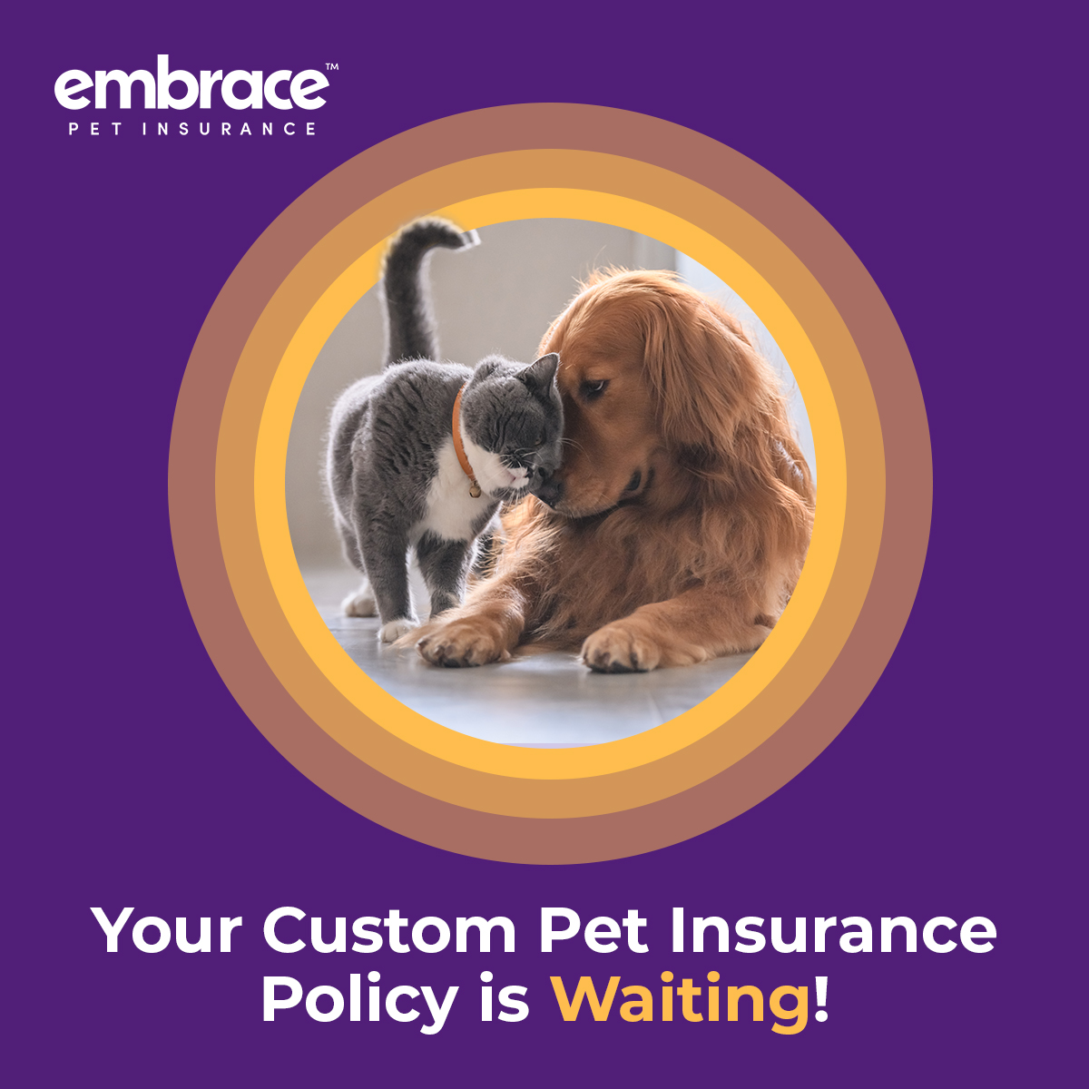 Embrace Pet Insurance