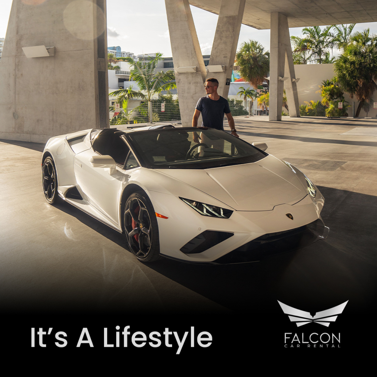 Falcon Car Rental