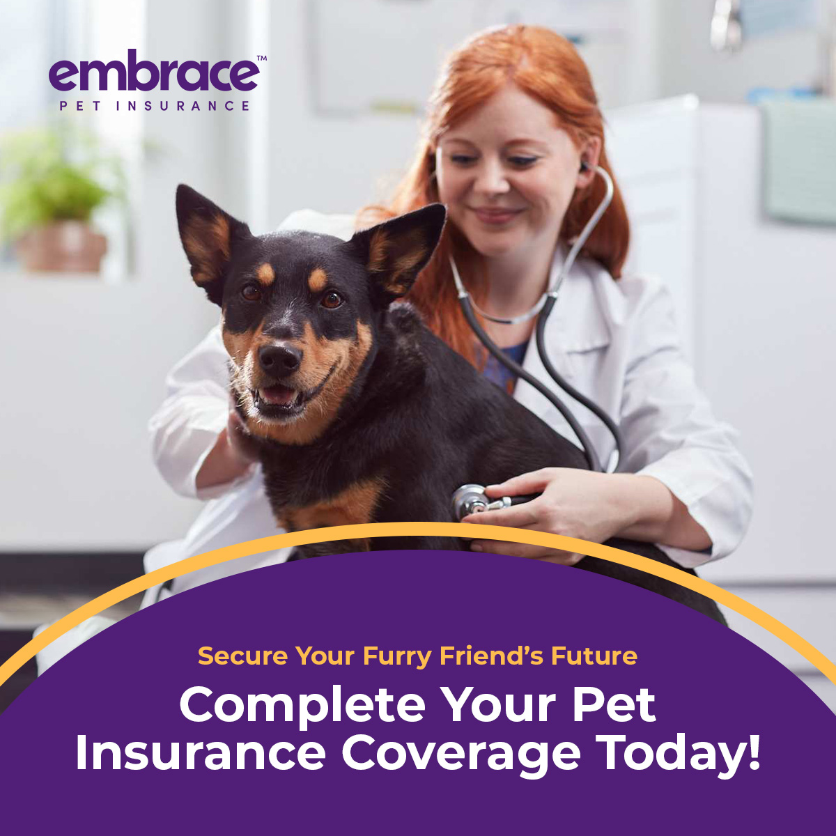 Embrace Pet Insurance